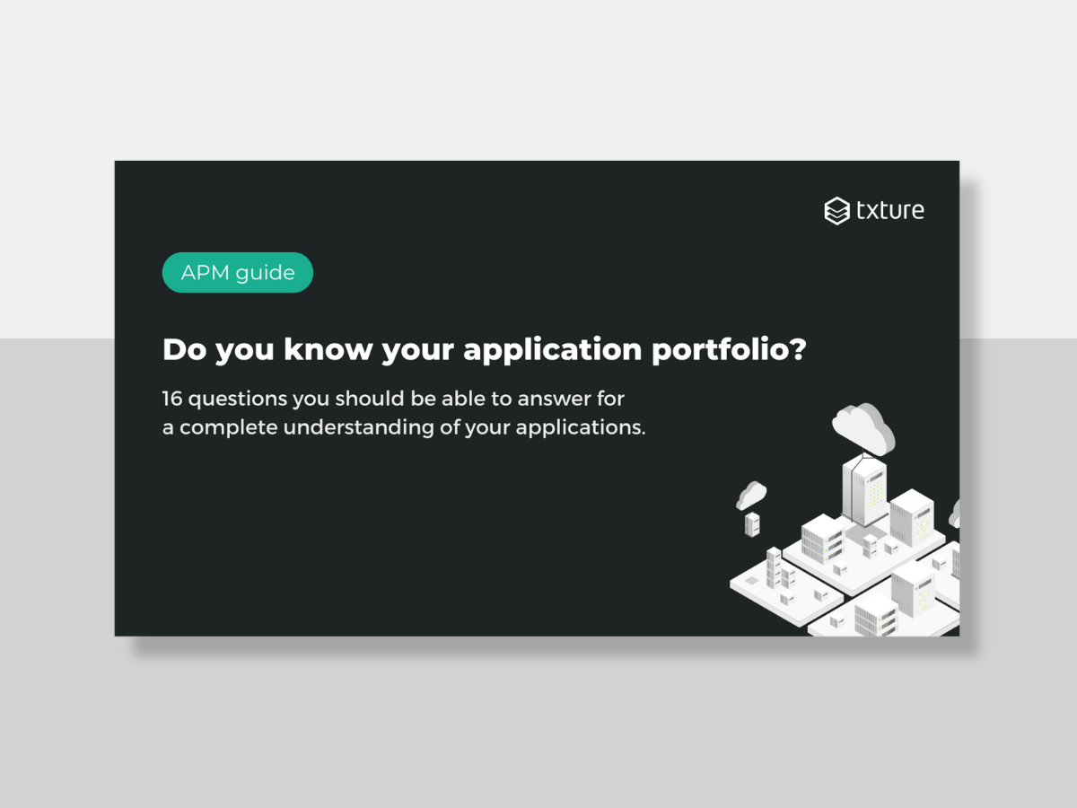 application portfolio management guide txture